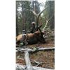 Image 1 : Drop Camp Elk hunt in GMU 46 for 2 hunters. Or $3500 guide fee credit