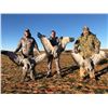 Image 1 : #2 Sand Hill Crane hunt in Texas for 1 day FINAL DESCENT, Lubbock Texas 4-person