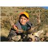 Image 1 : Youth cull buck deer hunt with Sangre de Cristo Outfitters Voucher inclued