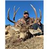 Image 2 : Youth cull buck deer hunt with Sangre de Cristo Outfitters Voucher inclued