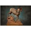 Image 2 : $1500 Taxidermy Coupon for Brumfield Taxidery.