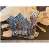 Image 2 : Bighorn & Mountain goat wood carving artwork