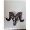 Image 1 : Minature bronze ram skull