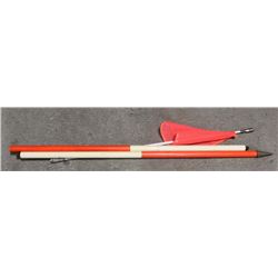 SAFETY WHIP 2FT COMES WITH LIGHT