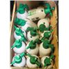 Image 1 : BOX OF 13 PRESSURE PUMP SPRAYERS