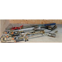 SHELF OF TIGER TORCHES