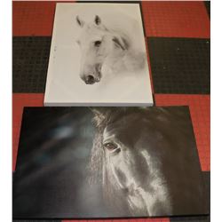 COLLECTION OF 2 LARGE HORSE PICTURES ON