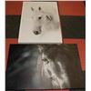 Image 1 : COLLECTION OF 2 LARGE HORSE PICTURES ON