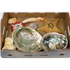Image 1 : TRAY OF SEA SHELLS