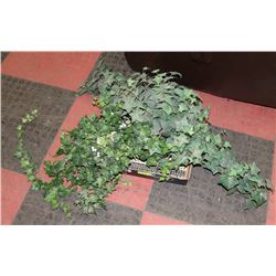 LOT OF 2 SILK PLANTS