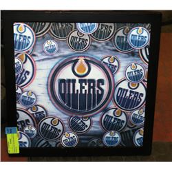 EDMONTON OILERS DISPLAY W/ 3D EFFECTS
