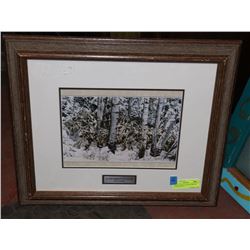 FRAMED PRINT "IN THE COMPANY OF WOLVES" BY