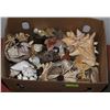 Image 1 : LARGE BOX OF ASST SEASHELLS