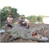 Image 1 : African Crocodile Hunt