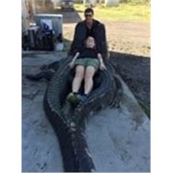 Florida Trophy Alligator Hunt
