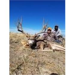 Utah Mule Deer Hunt