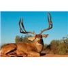 Image 1 : Mexico Desert Mule Deer Hunt