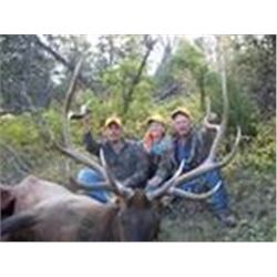 Colorado Elk Hunt