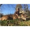 Image 1 : Missouri Pre Rut Archery Whitetail Deer Hunt