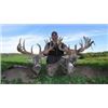 Image 1 : Five Star Ohio Whitetail Hunting Trip for 2