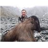 Image 1 : New Zealand Bull Tahr Hunt