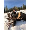 Image 1 : Canadian Shiras Moose Hunt