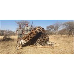 South Africa Giraffe and Tsessebe Hunt