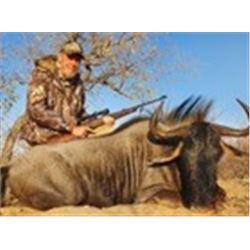 Nambia Blue Wildebeest and Impala Hunt