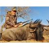 Image 1 : Nambia Blue Wildebeest and Impala Hunt