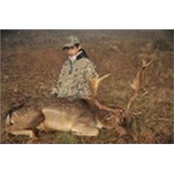 Bronze Fallow Deer Hunt in France