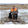 Image 1 : Three Cross Pheasant Youth Hunt