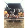 Image 3 : Three Cross Pheasant Youth Hunt