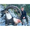 Image 3 : Bezoar Ibex in Turkey with Shikar Safaris