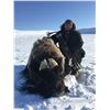 Image 4 : Musk Ox Hunt in Canada with Canadian High Arctic Adventures