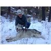 Image 3 : Mountain Lion-Wolf-Bobcat Hunt in Idaho with White Cloud Outfitters