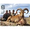 Image 1 : Aoudad Hunt in Texas with XTreme Outfitters