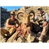 Image 3 : Aoudad Hunt in Texas with XTreme Outfitters
