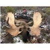 Image 8 : Yukon Stone Sheep/Moose/Grizzly Hunt in Canada with Yukon Big Game Outfitters