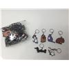 Image 1 : Lot of Life of Pets Assorted Keychains