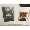 Image 2 : Lot of Matte Art Prints (Approx 24 x 24 - 27 x 19 inch)