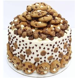 Cake 2 (proceeds to local youth organizations) Sponsored by: Sarah Kahn