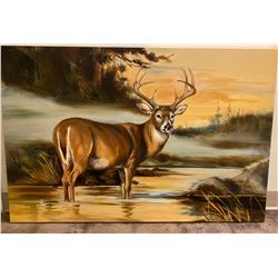 Whitetail Deer Gallery Wrapped Canvas Print by Marilynn Mason