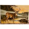 Image 1 : Whitetail Deer Gallery Wrapped Canvas Print by Marilynn Mason