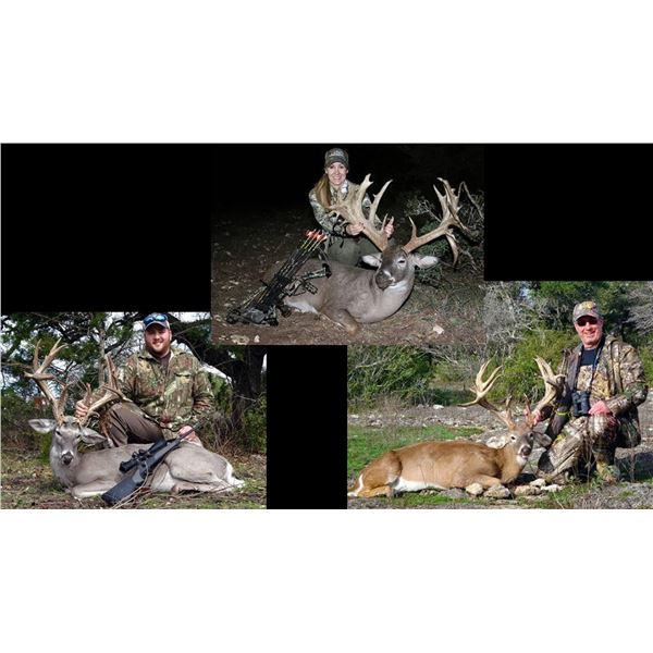 Hunt Package - Trophy Whitetail Hunt in Texas