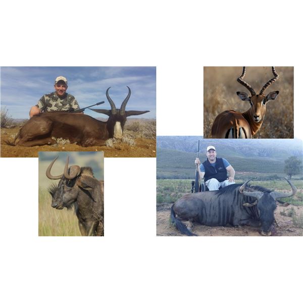 Plains Game Hunt in the Eastern Cape of South Africa for two hunters