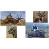 Image 1 : Plains Game Hunt in the Eastern Cape of South Africa for two hunters