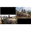 Image 1 : Hunt Package - 7-Day Eland Hunt in Namibia for Eland and Gemsbok