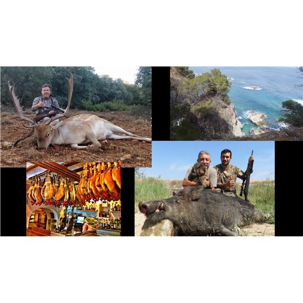 Hunt Package - Fallow Deer in North East Spain (Brave coast) by the Mediterranean sea.
