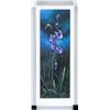 Image 1 : Stephen Lyman US Wildflower Suite Set of 4 Prints