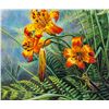 Image 8 : Stephen Lyman US Wildflower Suite Set of 4 Prints